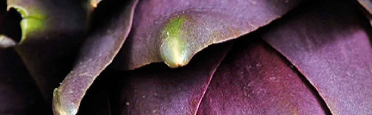 Як їсти артишоки?