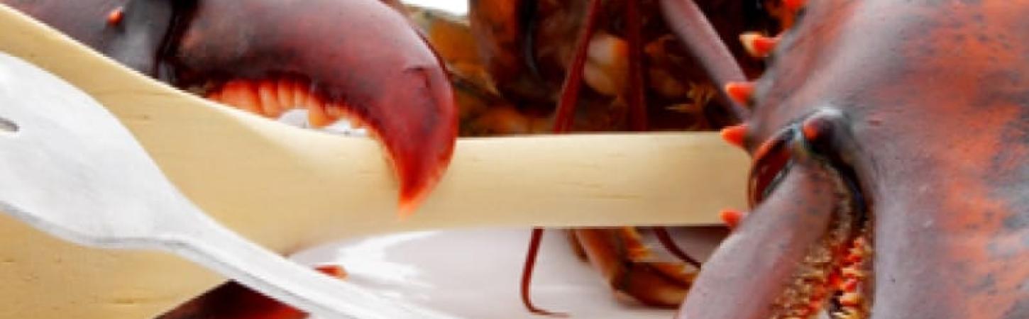 Як їсти омара?