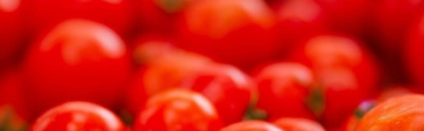 La Tomatina – битва помідорами