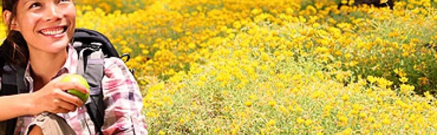 Легкі літні салати – як можна схуднути та зберегти фігуру в ідеальній формі