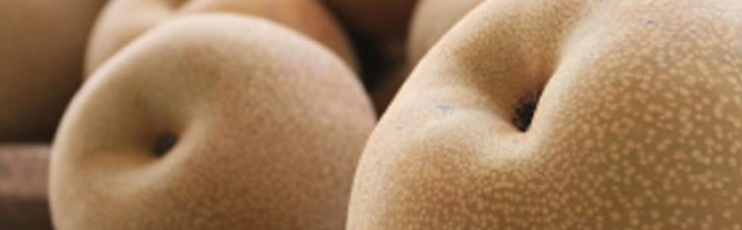 Китайська або пісочна груша «наші» – ласий шматочок китайської кухні