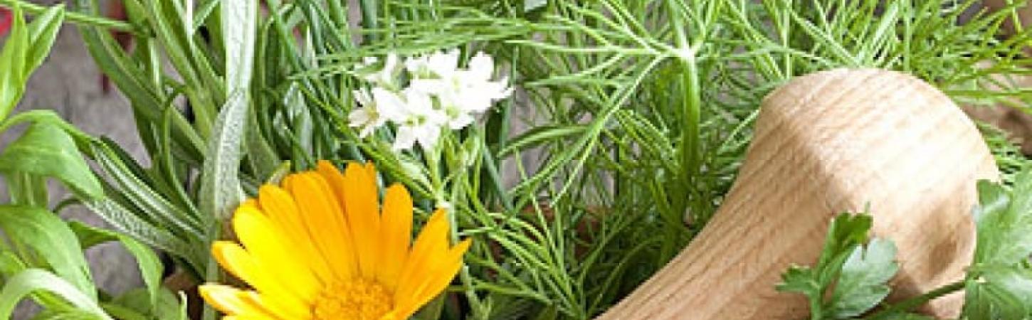 Нові спеції для осінніх салатів