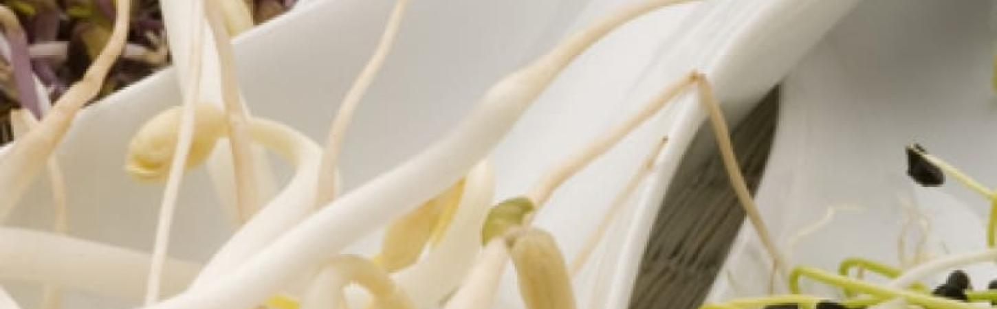 Паростки – сила вітамінів