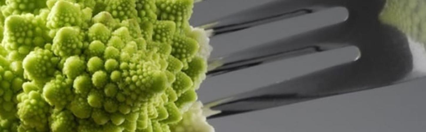 Романеско вийшла з укриття