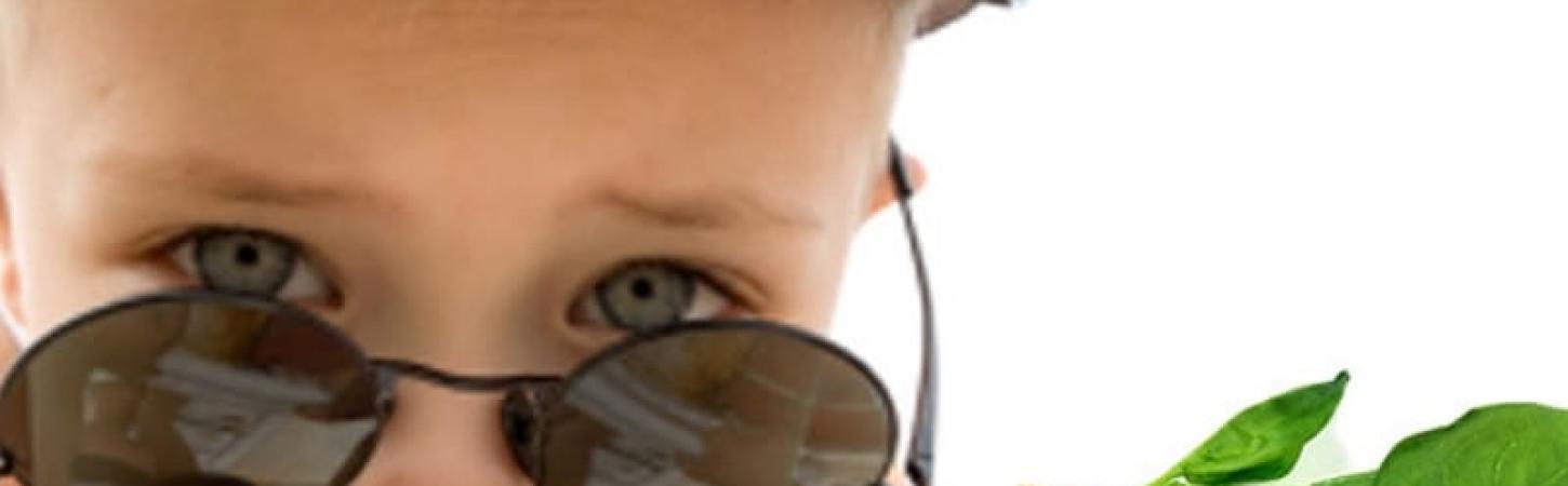 Шпинат – таємниця Папая