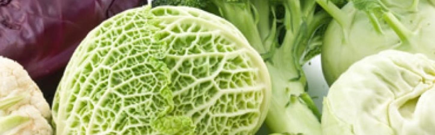 Успіх родини капустяних