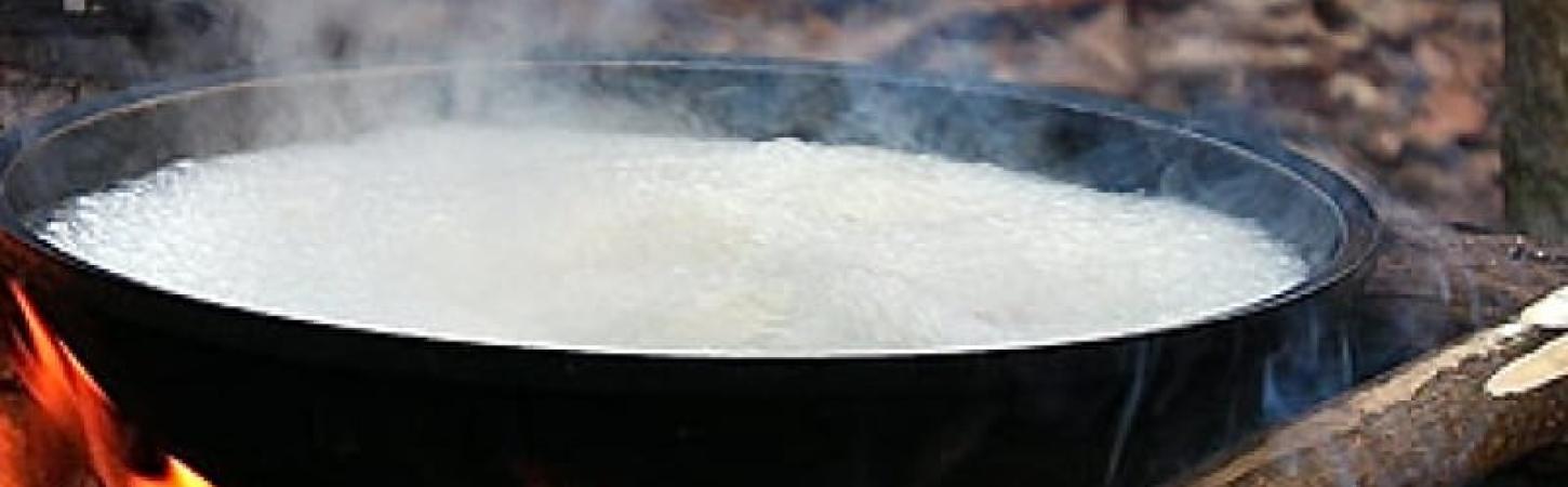 Здорове харчування на природі