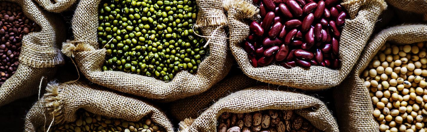 Tutti i tipi di fagioli: guida completa ai loro usi | Bonduelle