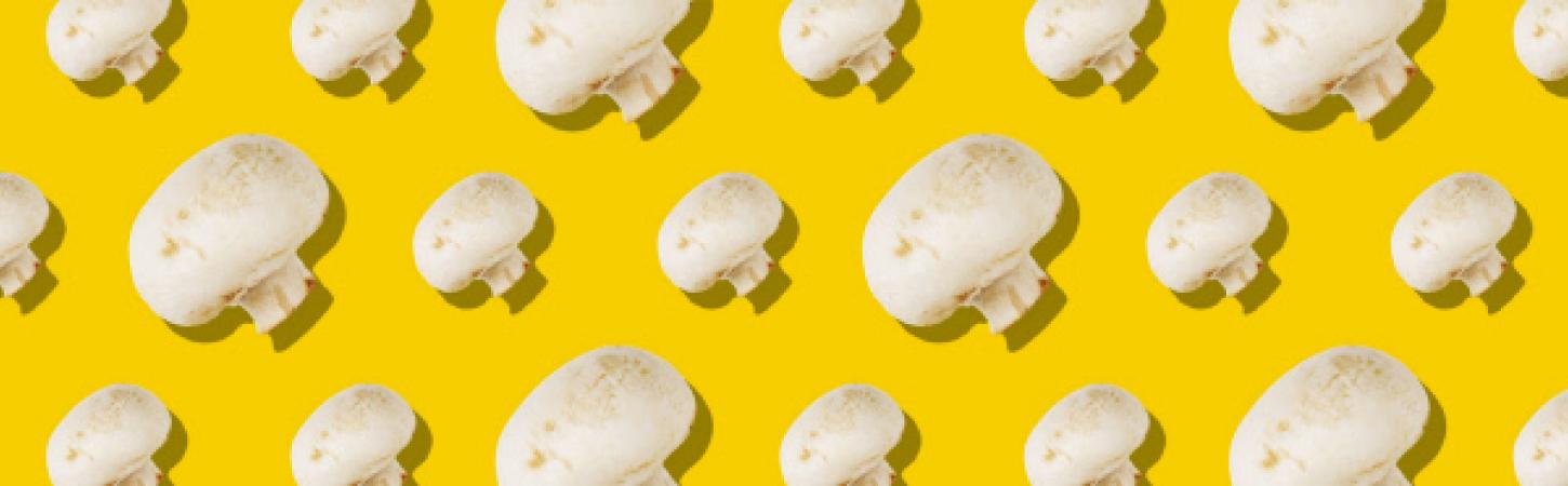 5 things to better know about mushrooms !