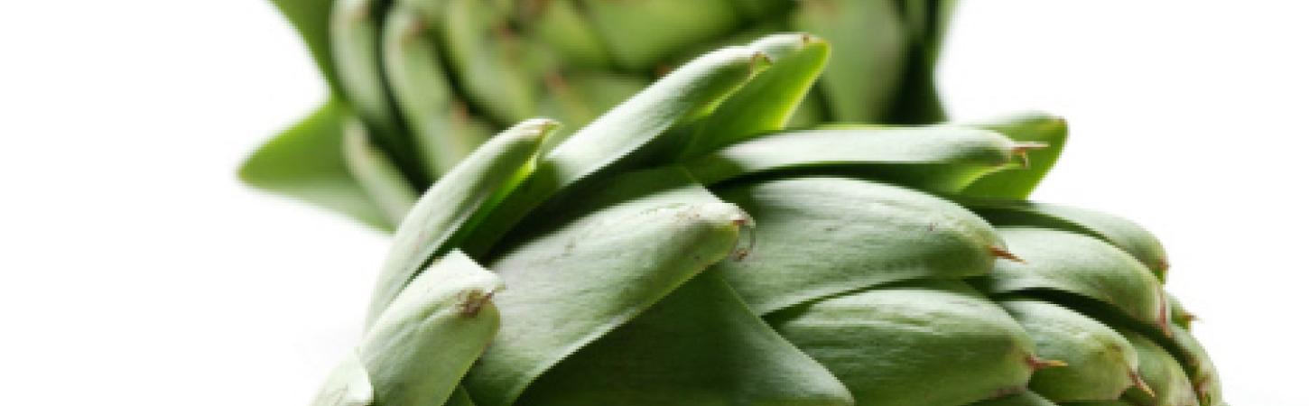 Alcachofa