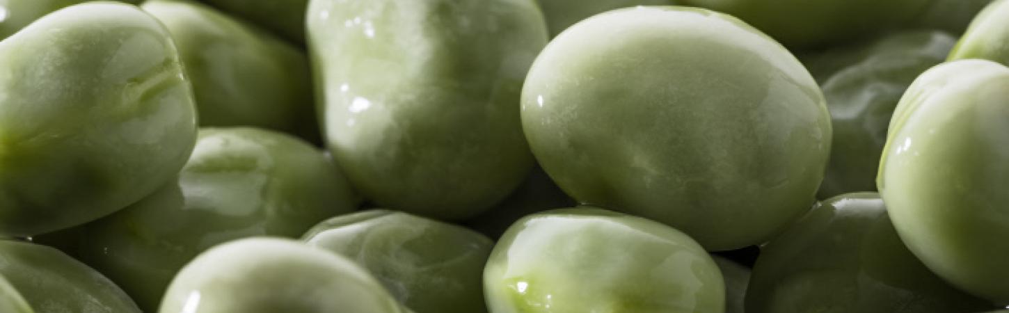 Fave: proprietà, benefici e come cucinarle