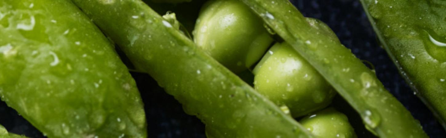 C'est quoi un légume vert ? 
