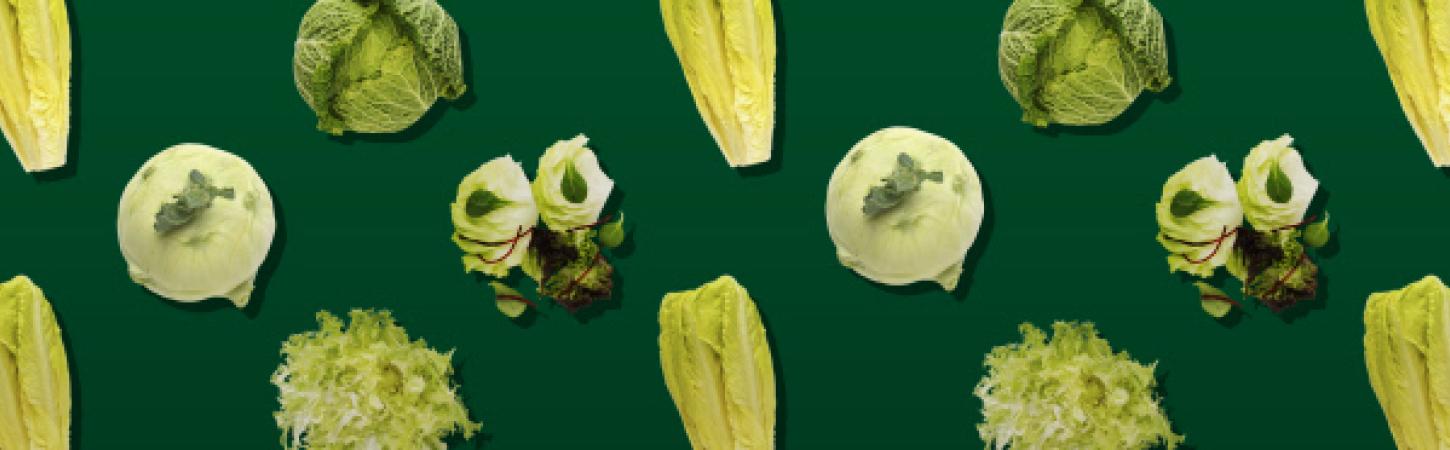 Que vegetal você é?