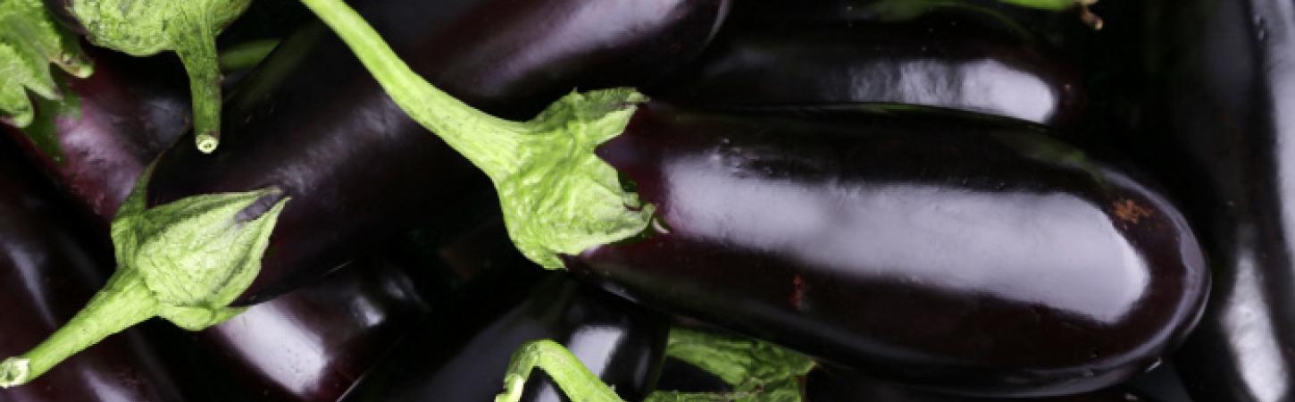 Melanzane: proprietà, benefici e come cucinarle