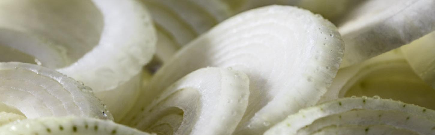 A cebola, uma excelente planta para a saúde