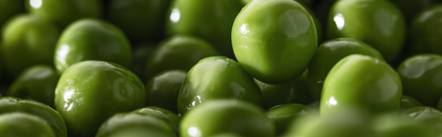 Guisantes finos y tiernos, sin azúcares añadidos
