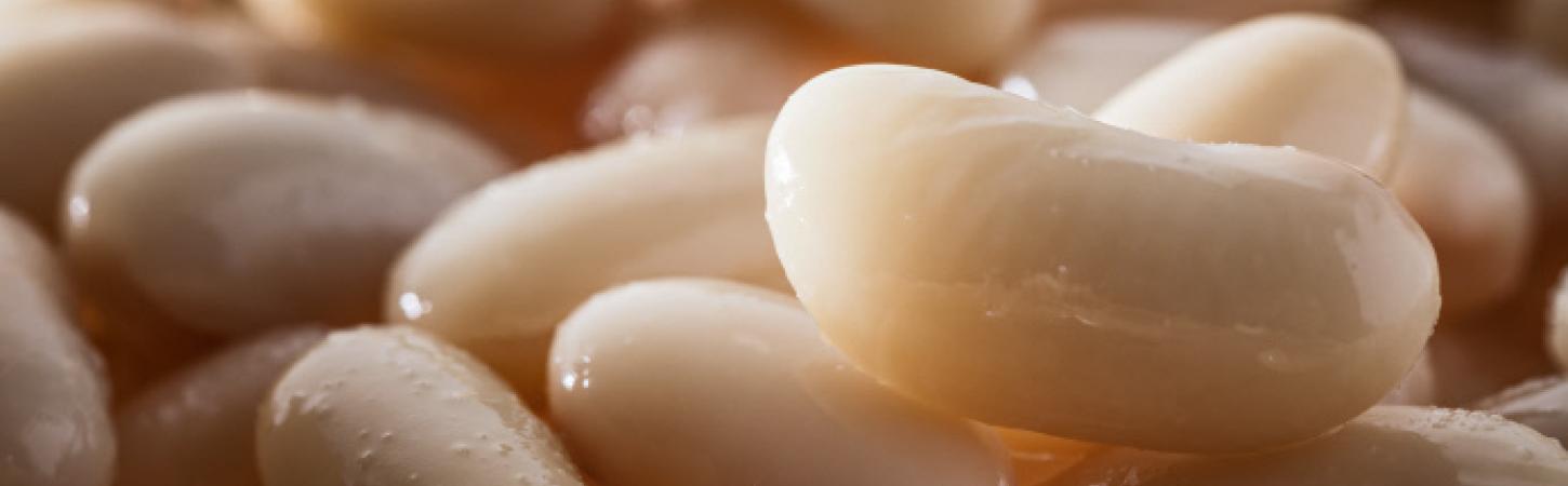 Fagioli cannellini: proprietà, benefici e come cucinarli