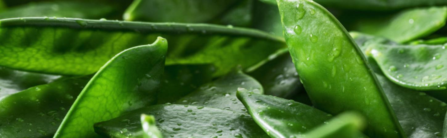 Taccole: proprietà, benefici e come cucinarle