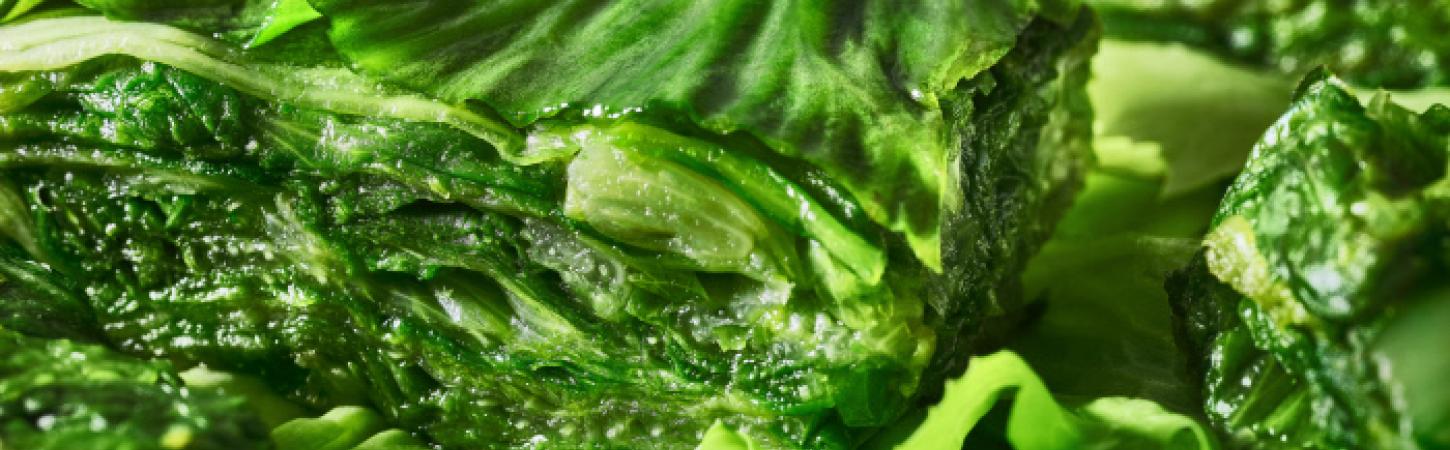 Scarola: proprietà, benefici e come cucinarla