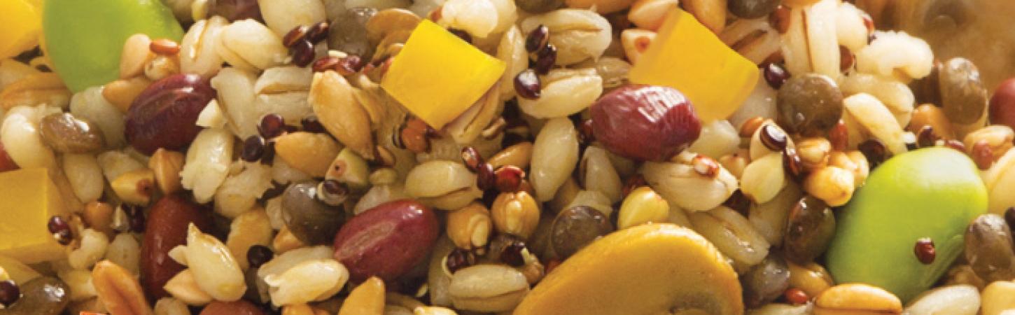 5 pasti al giorno: cosa mangiare per integrare le verdure a tavola