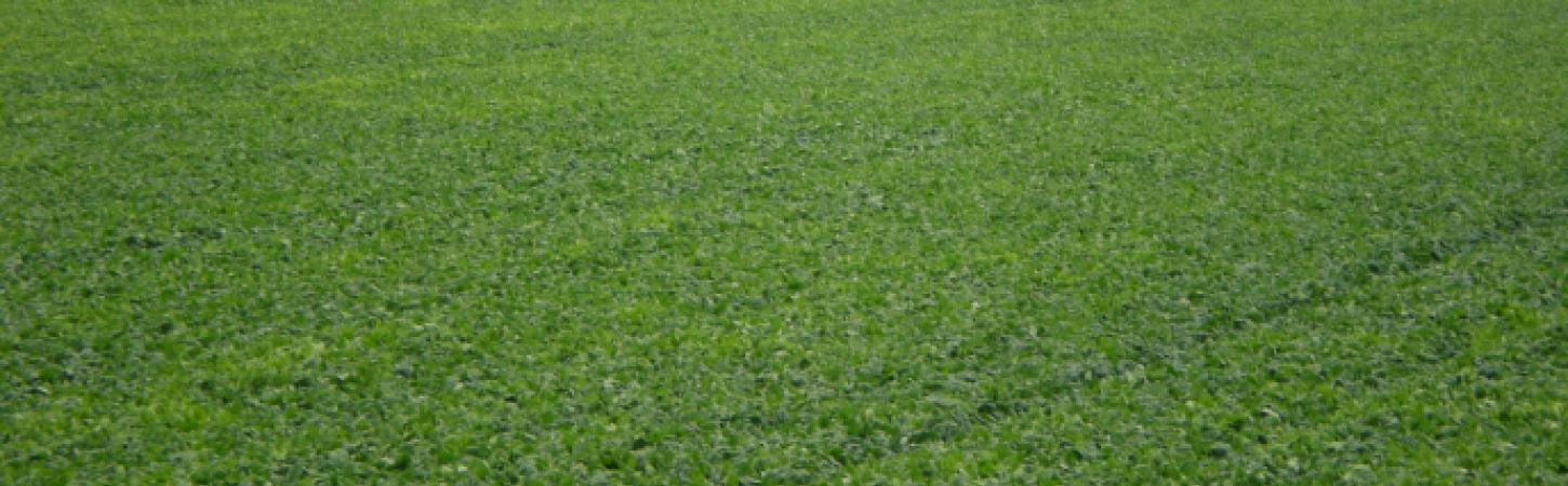 Lubrizol : Bonduelle lève ses mesures de précaution