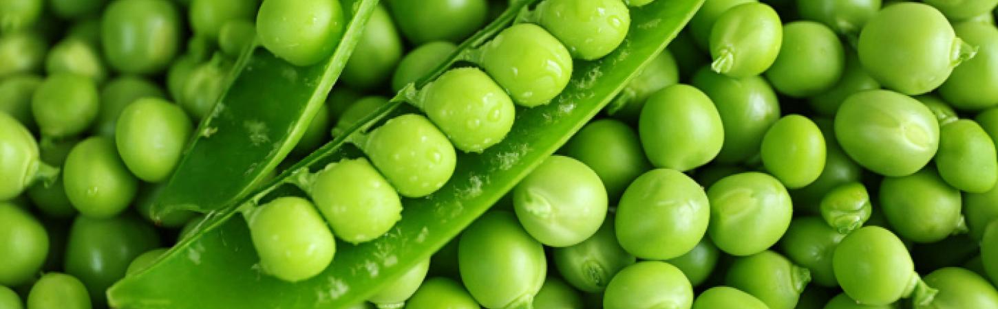 Para as suas receitas   