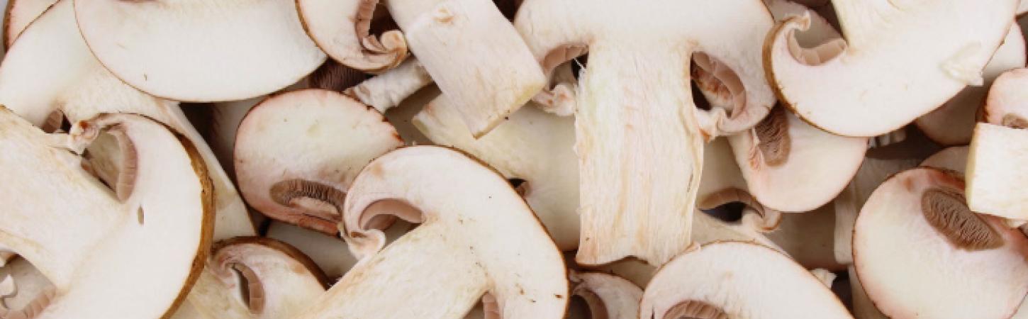 Funghi: proprietà, benefici e come cucinarli