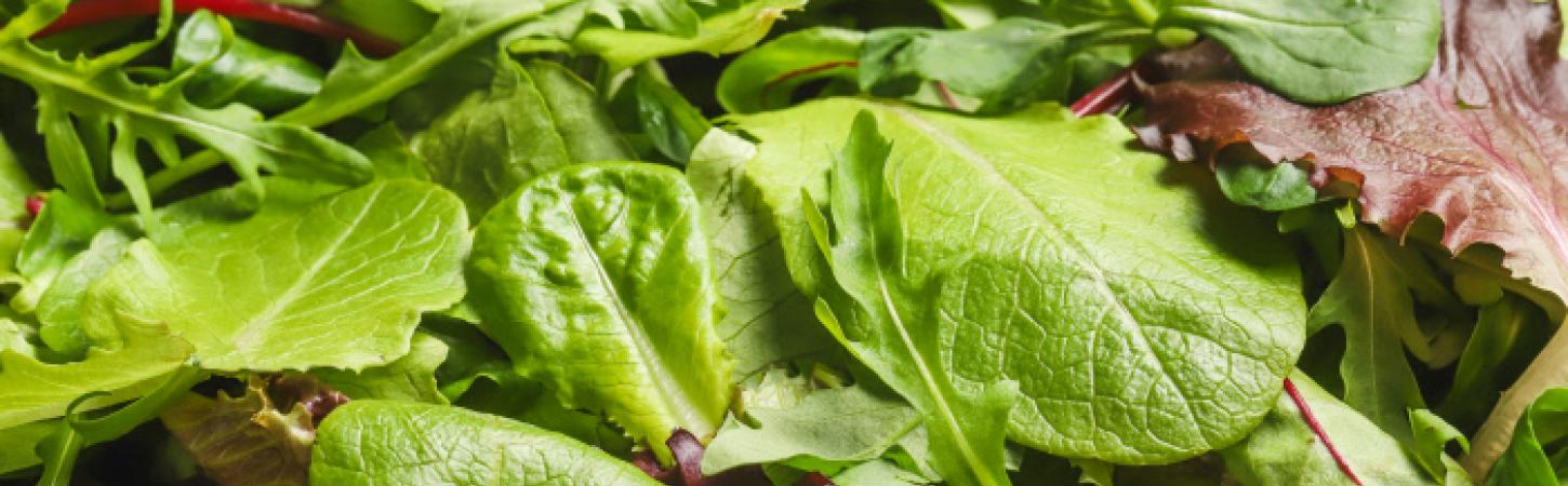 Cosa fare quando avanza l’insalata in busta?