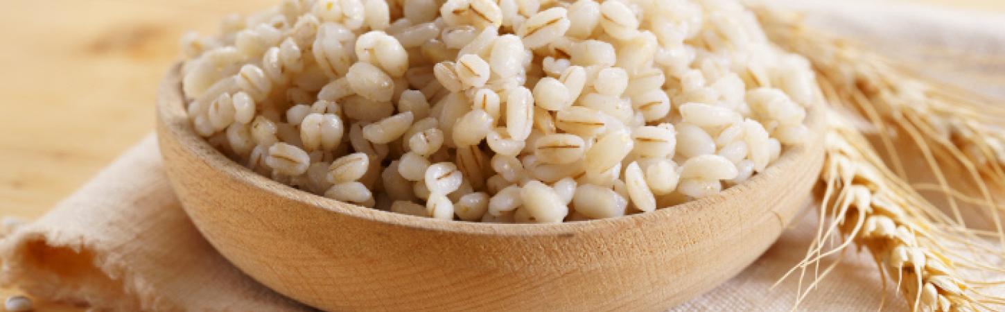 Orzo: proprietà, benefici e come cucinarlo