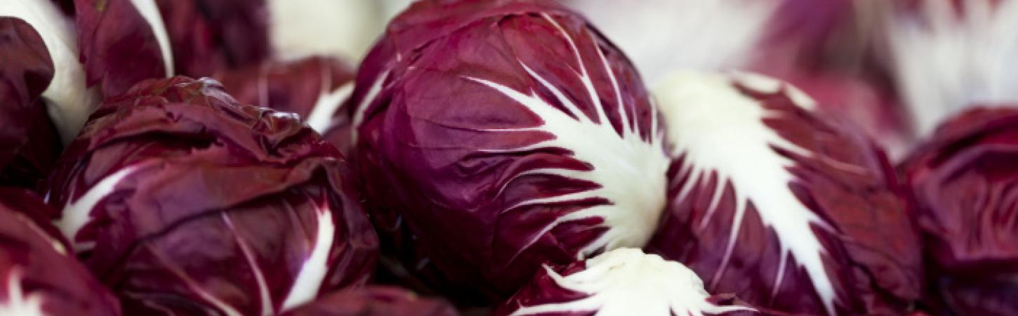Radicchio: proprietà, benefici e come cucinarlo