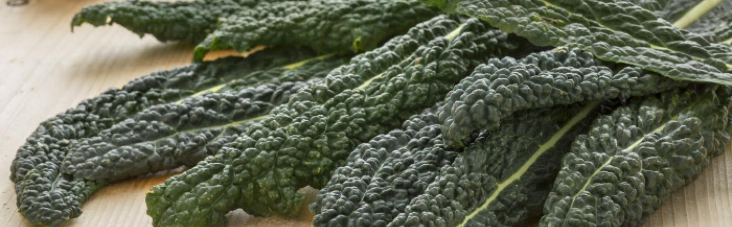 Cavolo nero: proprietà, benefici e come cucinarlo