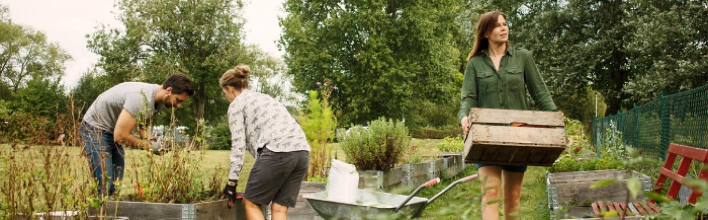 Shared gardens, how does it work?