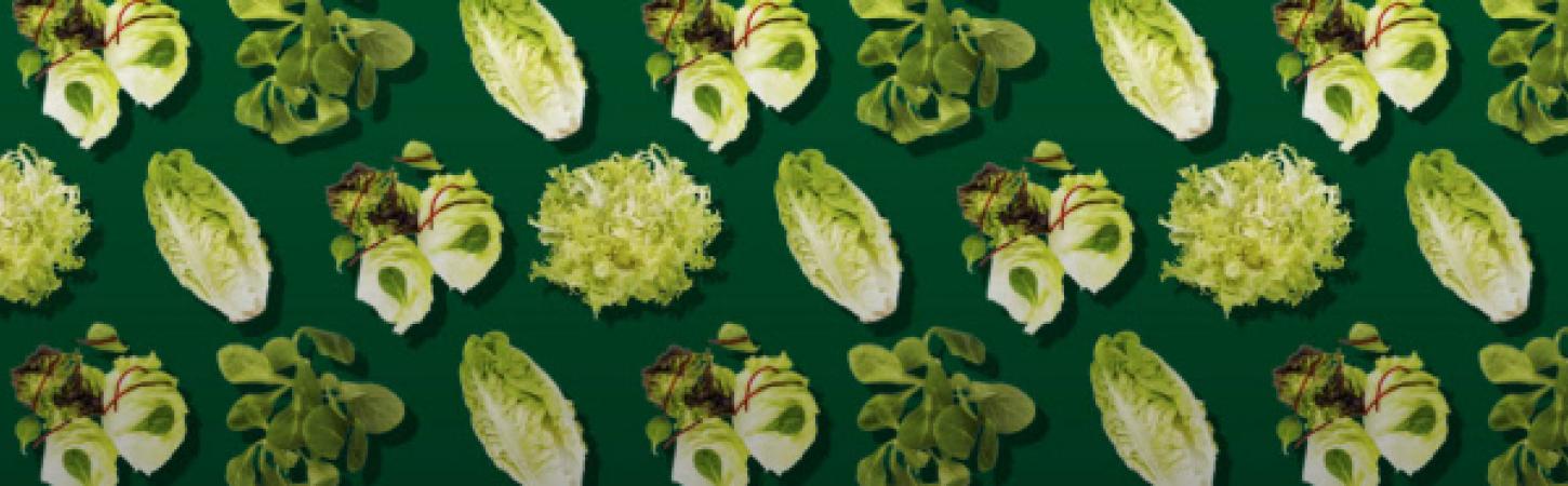 Leckere Salate zu Grillgerichten