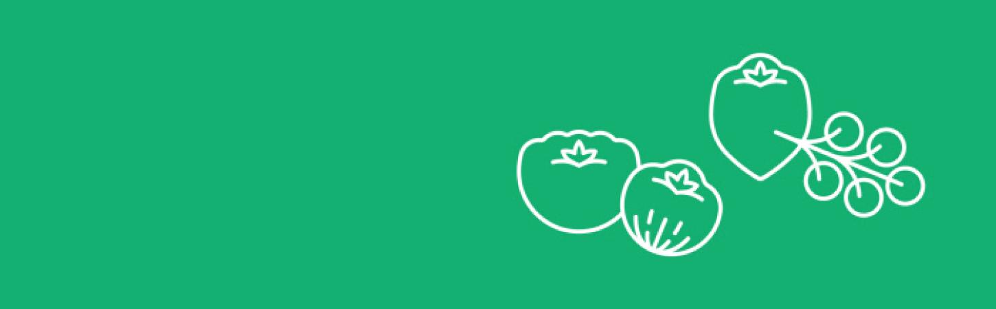8 truques para cultivar tomates com sucesso