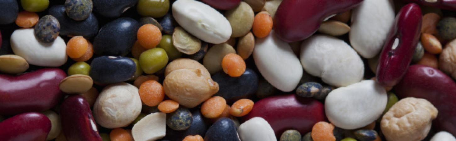 5 boas razões para comer mais leguminosas