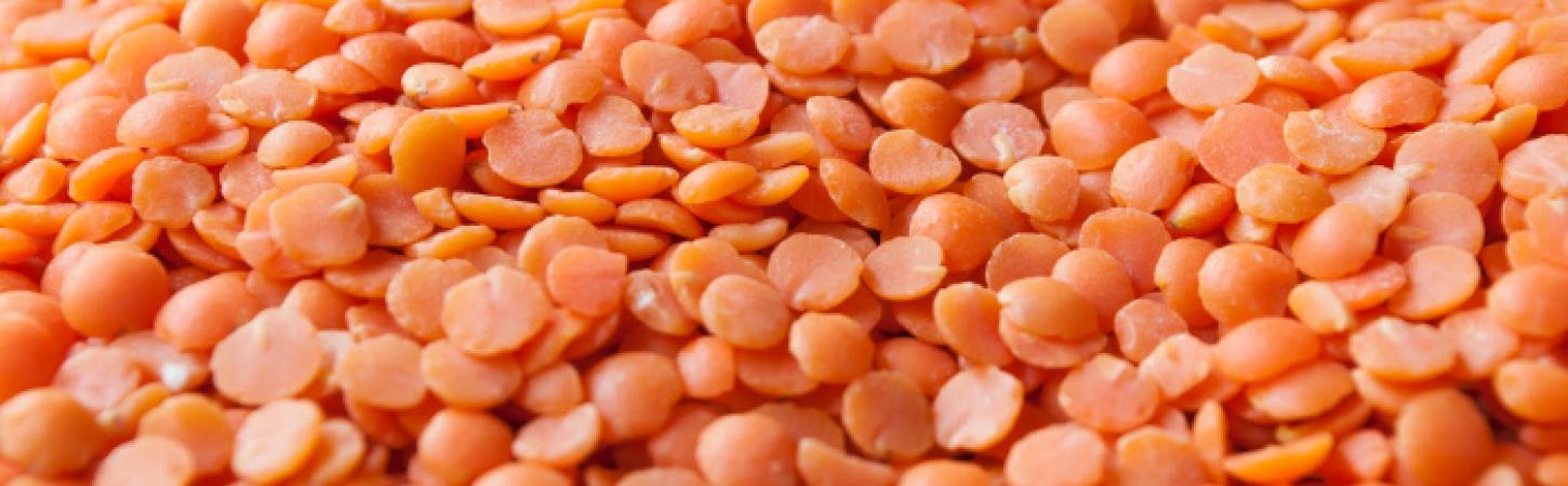 Lenticchie rosse: proprietà, benefici e come cucinarle