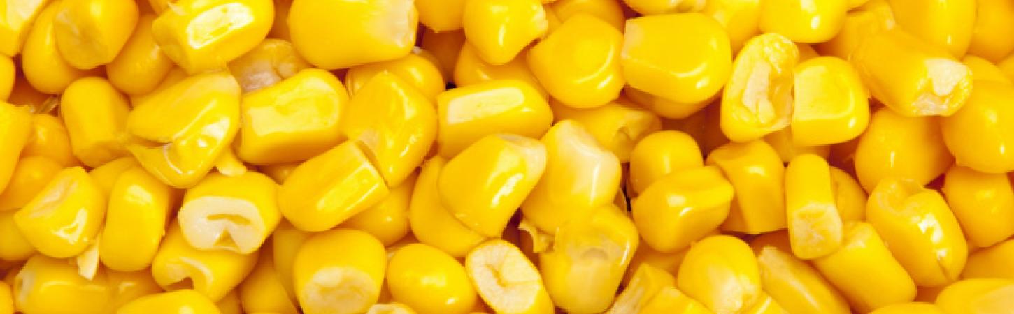 Qué es la sémola de maíz y las mejores recetas