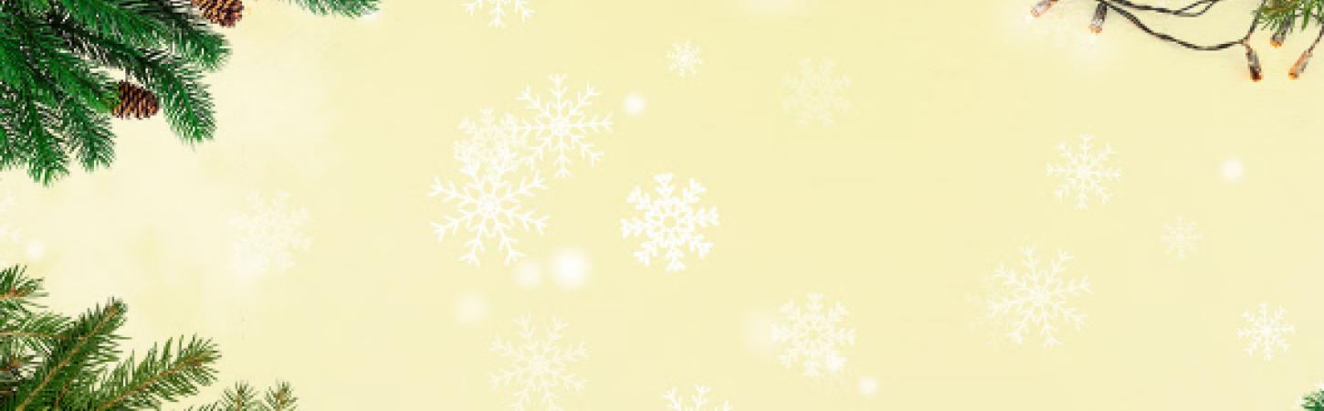 Artesanato de Natal com Produtos Reciclados