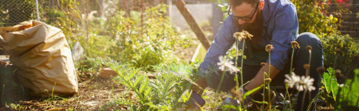 Conselhos e truques – Preparar a horta para a primavera