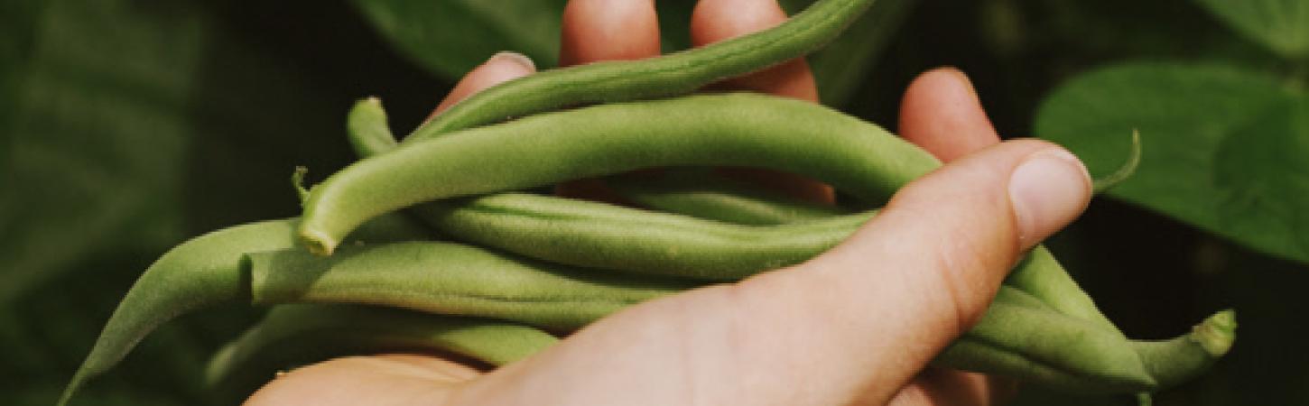 Le durable, ça se cultive !