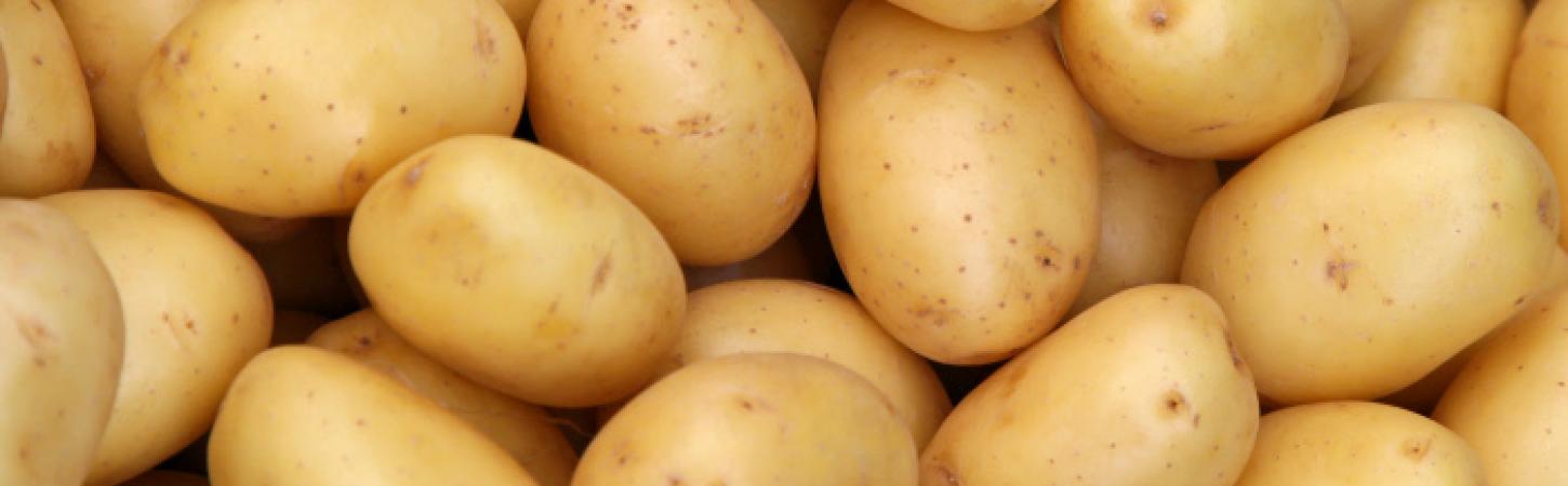 Patatja