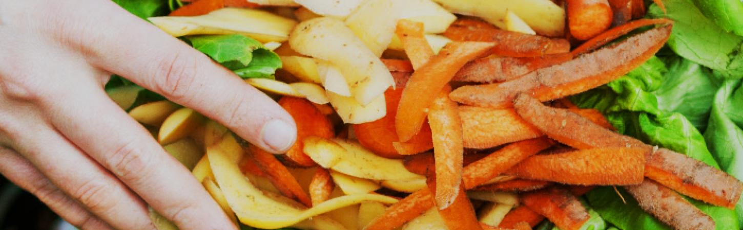 4 astuces pour nourrir naturellement son potager