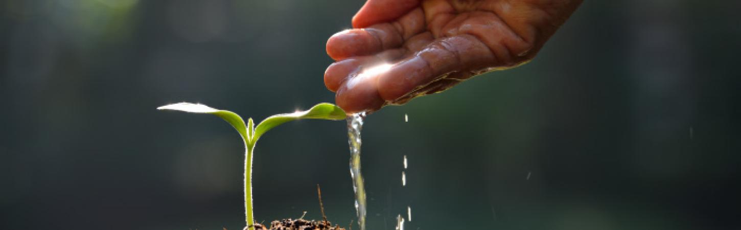 Protection de l'environnement 
