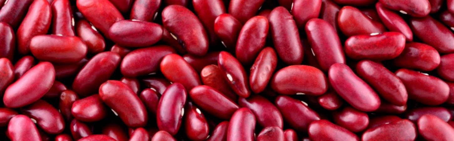 Astuces éclairées - Cap sur les petites graines