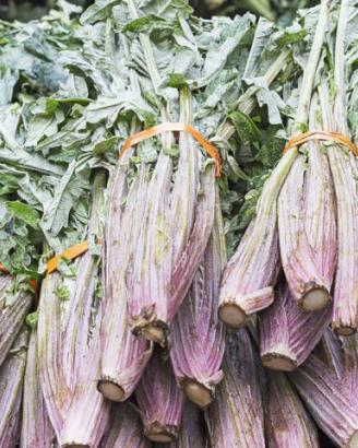 Cardo Proprieta Benefici E Come Cucinarlo Bonduelle