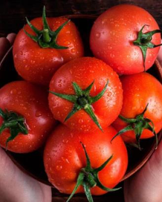 5 Beneficios Del Tomate Que No Sabias Para Tus Hijos Bonduelle